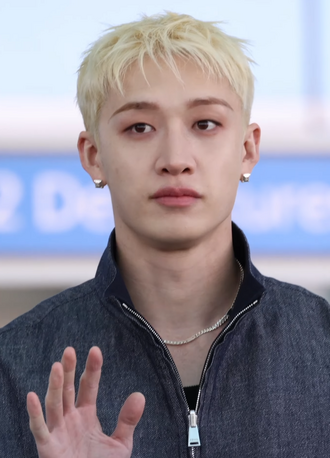 Portrait of Bang Chan - Wolf personality