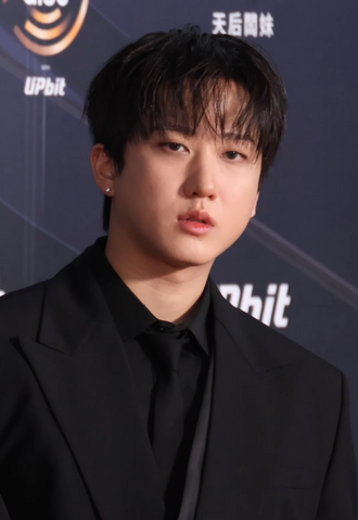 Portrait of Changbin - Wolf personality