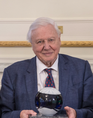 Portrait of David Attenborough - Owl personality