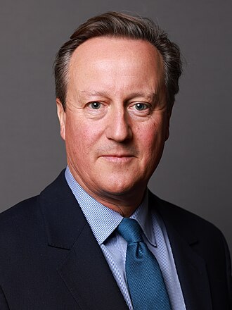 Portrait of David Cameron - Fox personality