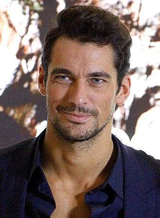 Portrait of David Gandy - Swan personality
