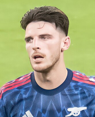 Portrait of Declan Rice - Dog personality