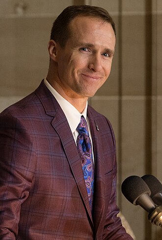 Portrait of Drew Brees - Horse personality