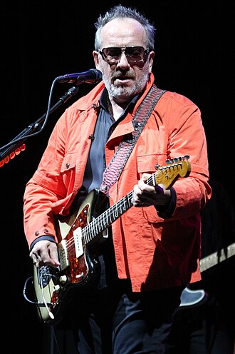 Portrait of Elvis Costello - Owl personality