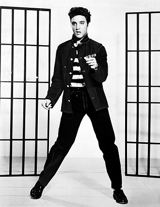 Portrait of Elvis Presley - Peacock personality