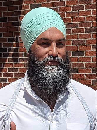 Portrait of Jagmeet Singh - Dolphin personality