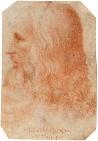 Portrait of Leonardo Da Vinci - Owl personality