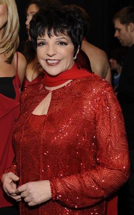 Portrait of Liza Minnelli - Sable personality
