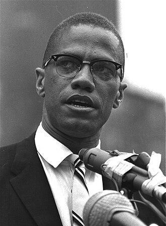 Portrait of Malcolm X - Badger personality