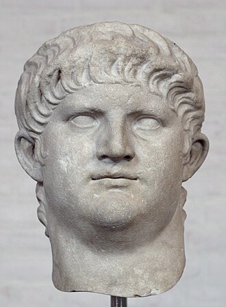 Portrait of Nero - Peacock personality