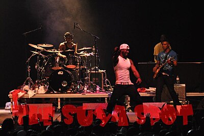 Portrait of P-Square - Wolf personality