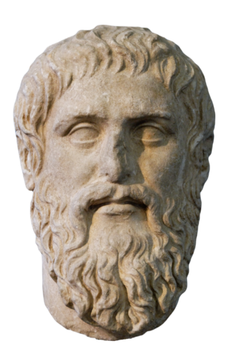 Portrait of Plato - Owl personality