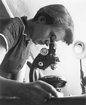 Portrait of Rosalind Franklin - Mole personality
