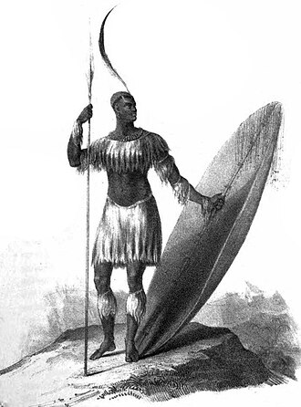 Portrait of Shaka - Gorilla personality