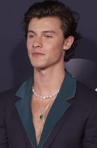 Portrait of Shawn Mendes - Deer personality