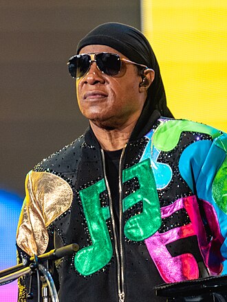 Portrait of Stevie Wonder - Dolphin personality