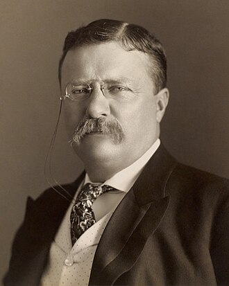 Portrait of Theodore Roosevelt - Bear personality