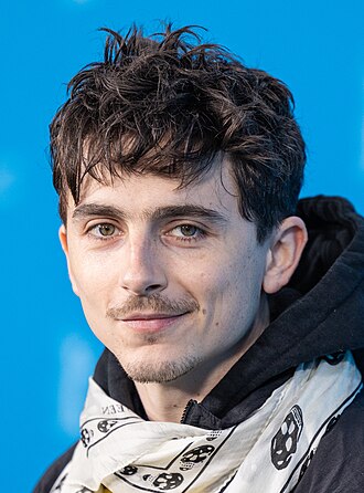 Portrait of Timothée Chalamet - Wolf personality