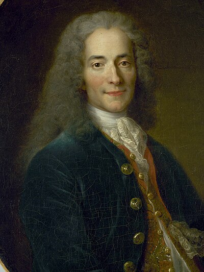Portrait of Voltaire - Fox personality