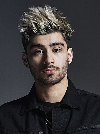 Portrait of Zayn Malik - Porcupine personality